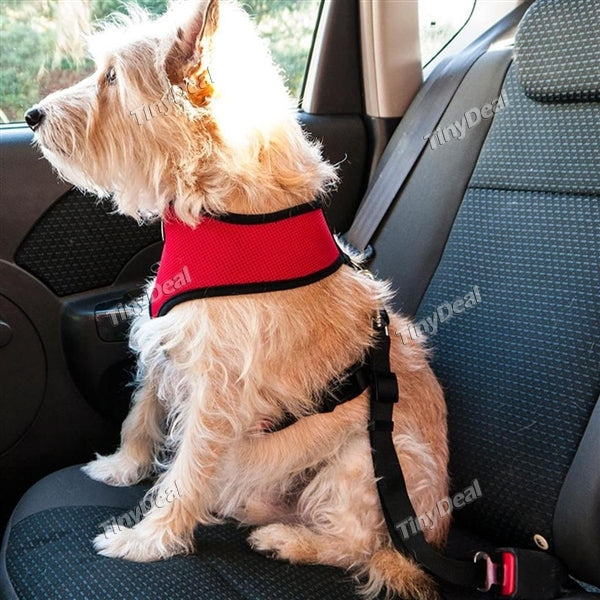 Auto Car Adjustable Safe Belt Seat Belt Seatbelt for Pet Dogs Securit