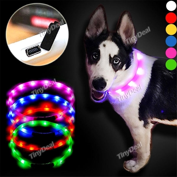 YWXLight 1.2M LED Light Collars & Leads Pet Dog/Cat Puppy Traction Rope Walking Lead Leash