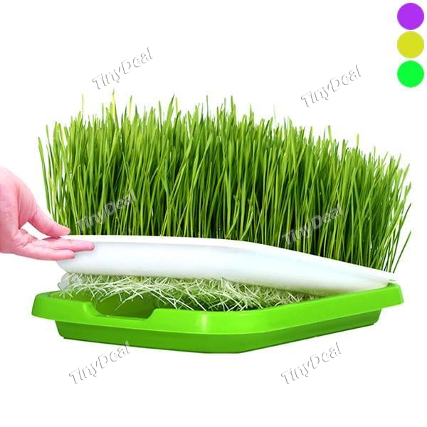 Durable Hydroponics Basket Nursery Tray Seed Nursery Pot Flower Plant Seed Germination Tray Grow Box Vegetable Seeding Tray Case