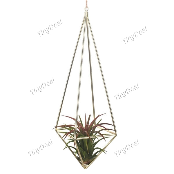 Rustic Wall Mount Hanging Irregular Pentagon Geometric Metal Tillandsia Air Plants Holder Rack Golden Wall Accent Decor