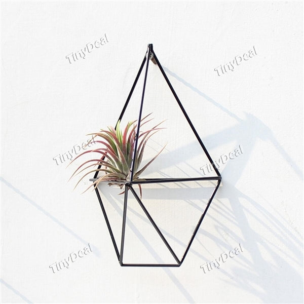 Rustic Wall Mount Hanging Irregular Pentagon Geometric Metal Tillandsia Air Plants Holder Rack Black Wall Accent Decor