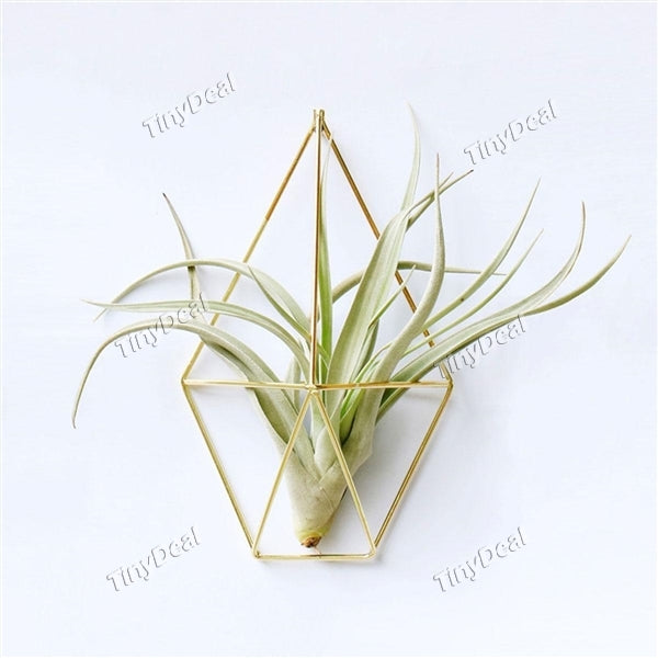 Rustic Wall Mount Hanging Irregular Pentagon Geometric Metal Tillandsia Air Plant Holder Rack Wall Decor