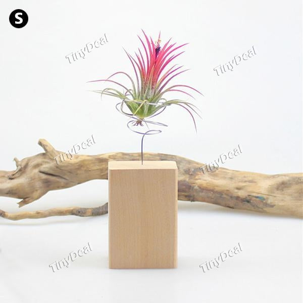 Wood Stand Air Plant Stand Holder Container Tabletop Tillandsia Planter Desk Display Rack