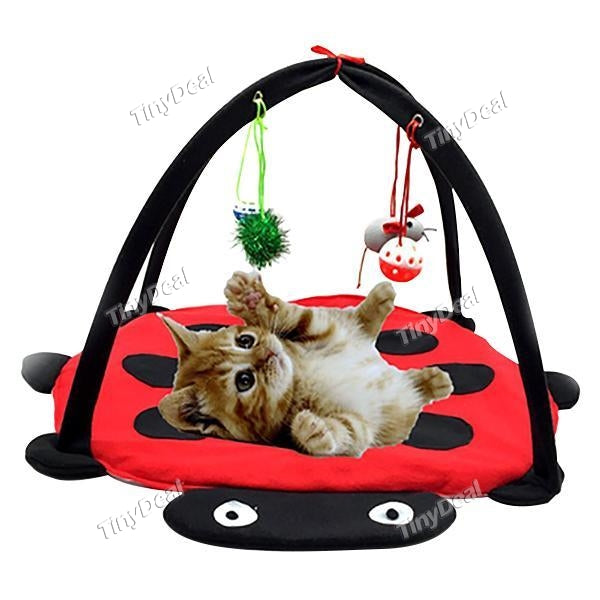 Animals Favorite Cat Play Mat Cat Play Tent Activity Center Bed Mat with Hanging Toys
