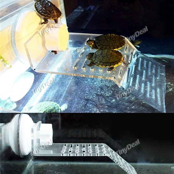Acrylic Suction Cup Aquarium Fish Tank Tortoise Platform Terrace Floating Island