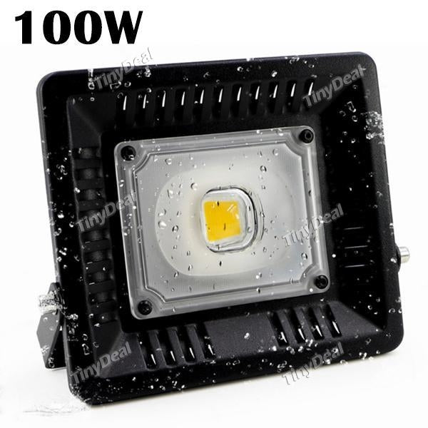 LED Flood Light Waterproof IP67 100W AC COB LED Floodlight 110V 220V Outdoor Wall Garden LED Lighting